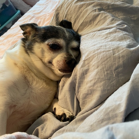 Meet your Posher, Kristen - Picture 3 of 4